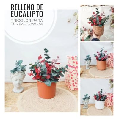 Relleno eucalipto preservado para jarrón/maceta