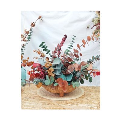 Centro Bellota Mango