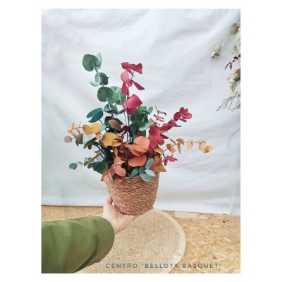 Centro Bellota Basquet